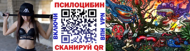 Псилоцибиновые грибы Cubensis Туран